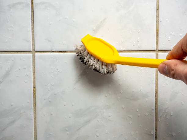 Best Emergency Mold Removal  in Verandah, FL