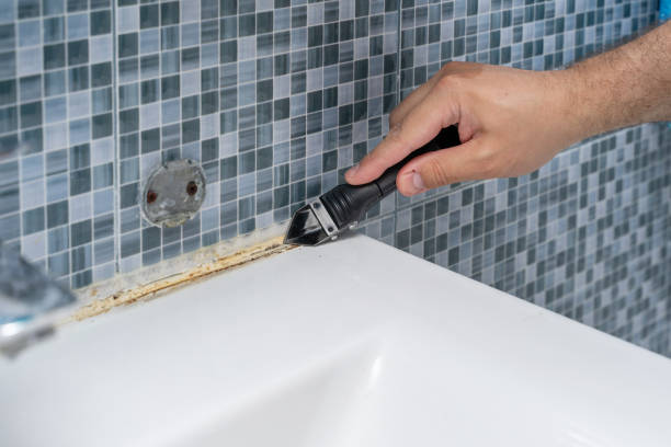 Best Office Mold Removal Services  in Verandah, FL