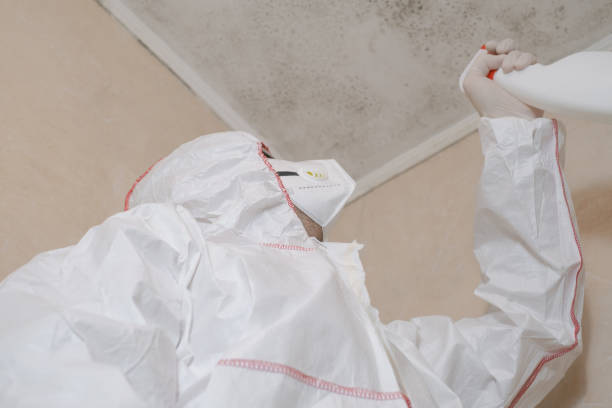 Best Emergency Mold Removal  in Verandah, FL