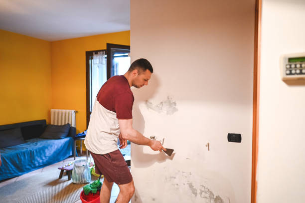 Best Mold Damage Repair  in Verandah, FL