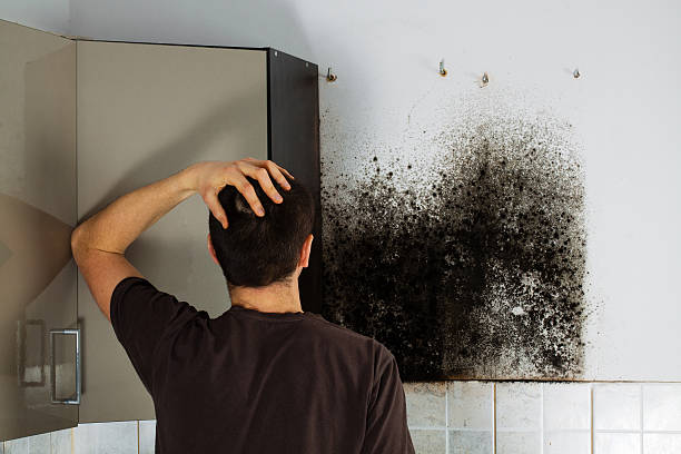 Best Crawl Space Mold Removal  in Verandah, FL